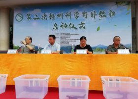 瑶山鳄蜥第二次科学放归活动在广西大桂山国家级自然保护区圆满完成